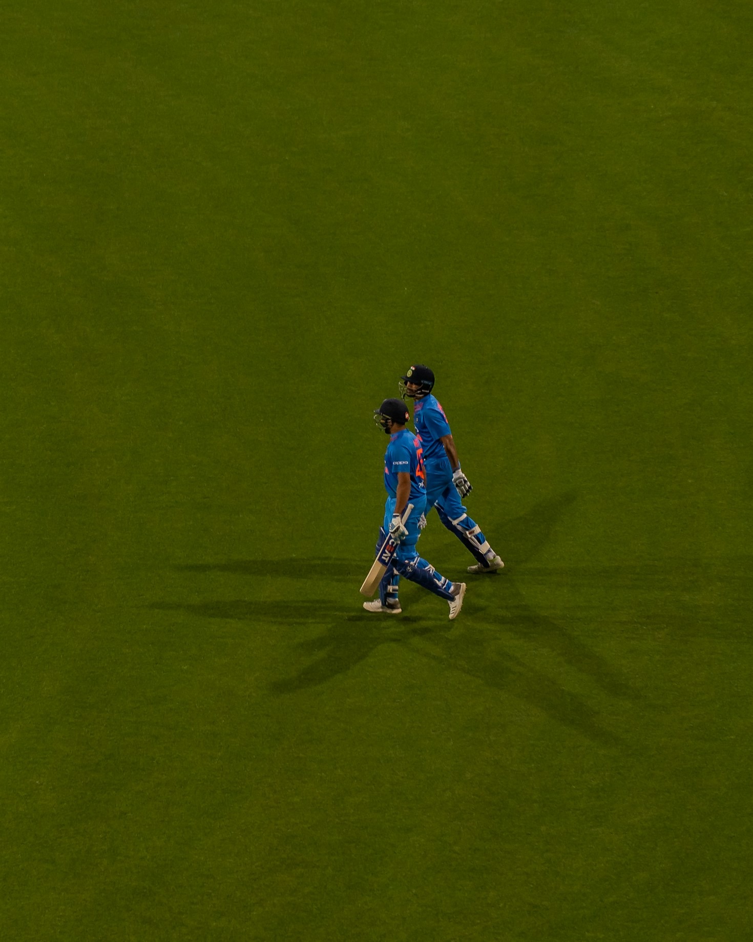 Customer Support That Elevates Your Cricket Betting Adventure